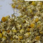 Dried Chamomile